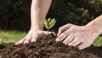 Printemps : qu’il est bon de s’occuper de son jardin !