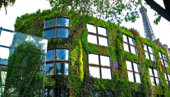 Maison en bois et nature font bon ménage