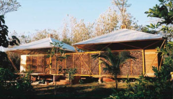 Atypique : une magnifique maison en bois faite de bambous