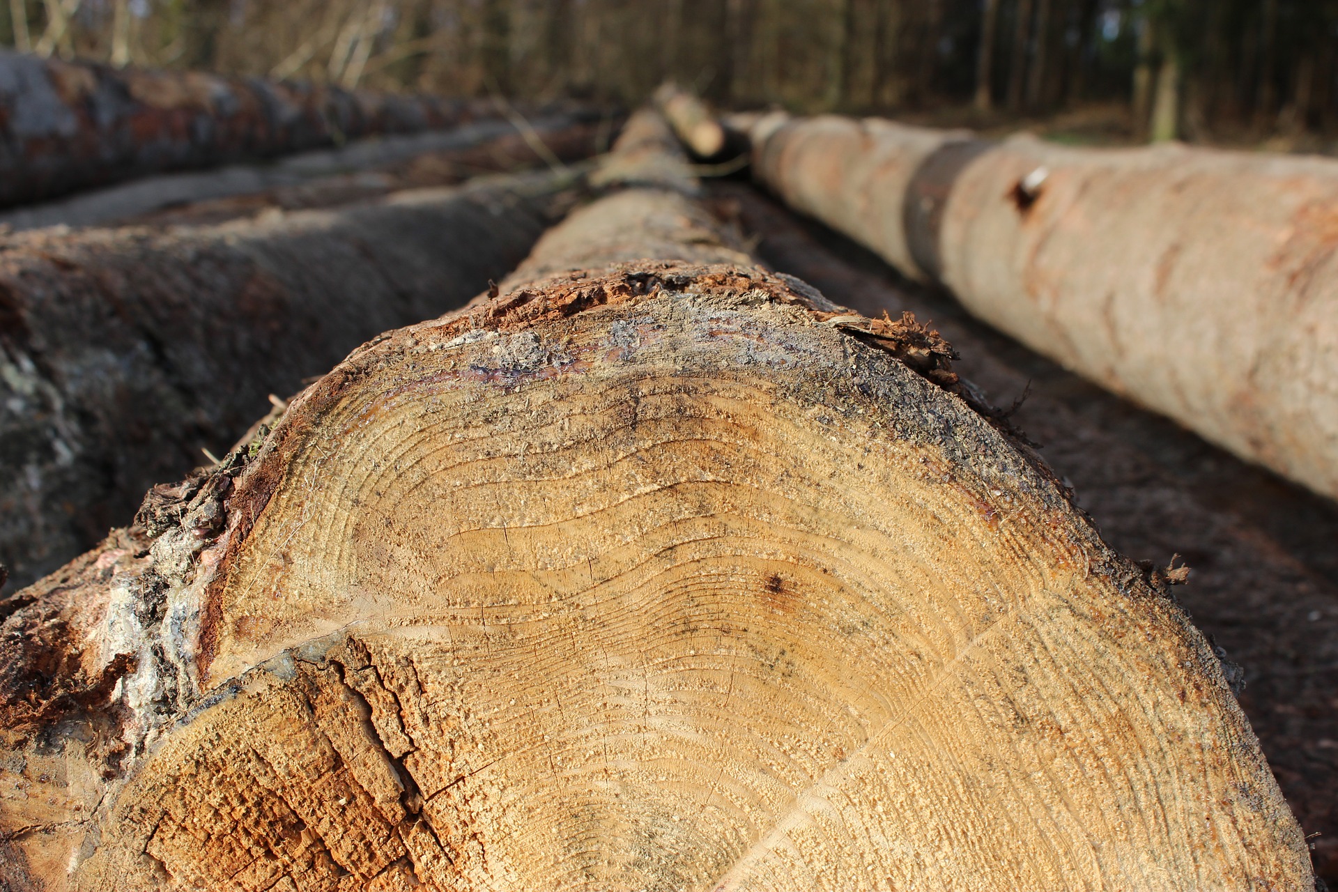 Ce matériau artificiel ressemble au bois, mais sans ses