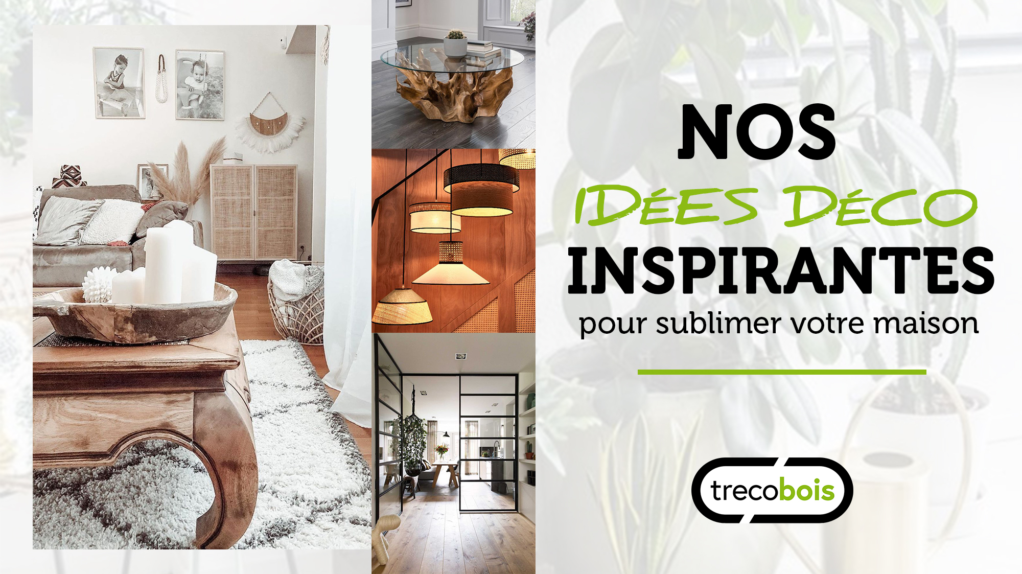 Déco végétale : 20 idées pour un intérieur naturel