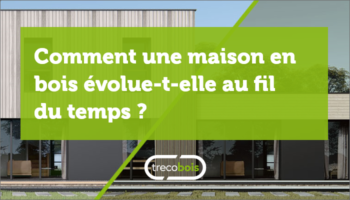 Comment une maison en bois évolue-t-elle au fil du temps ?