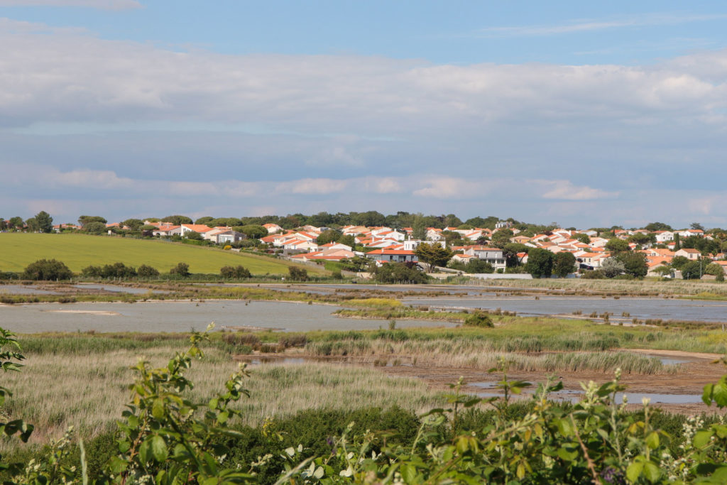 village-saujon-trecobois-adobestock