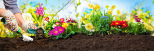parterre-fleurs-tendance-jardin-trecobat