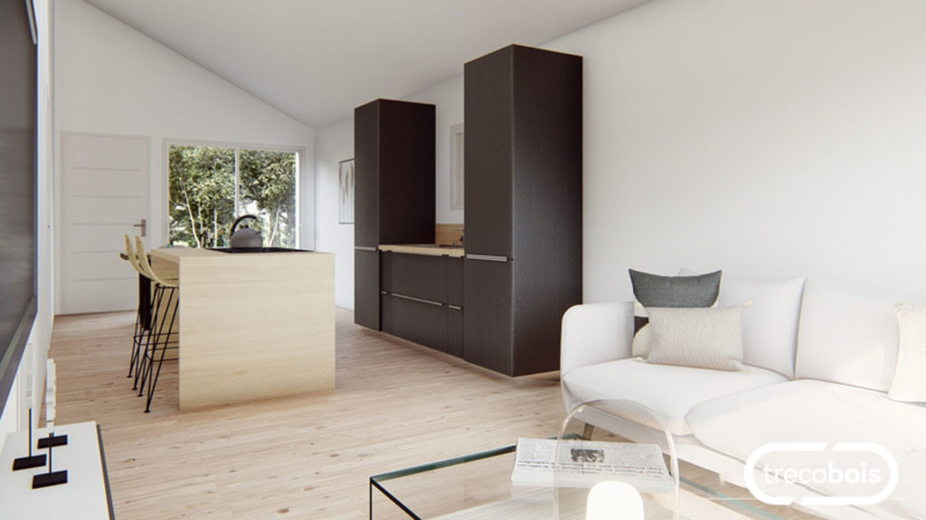 intérieur-maison-bois-trecobois