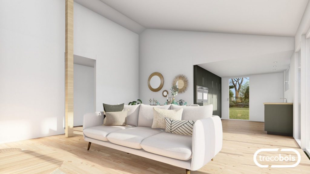 salon-maison-trecobois-projet