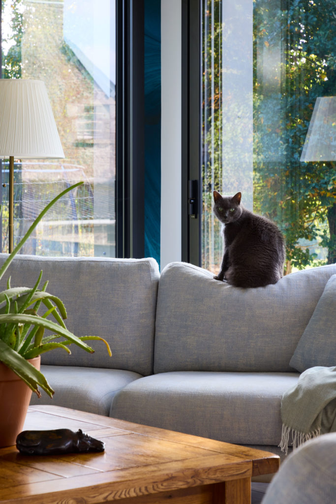 canapé-chat-maison-