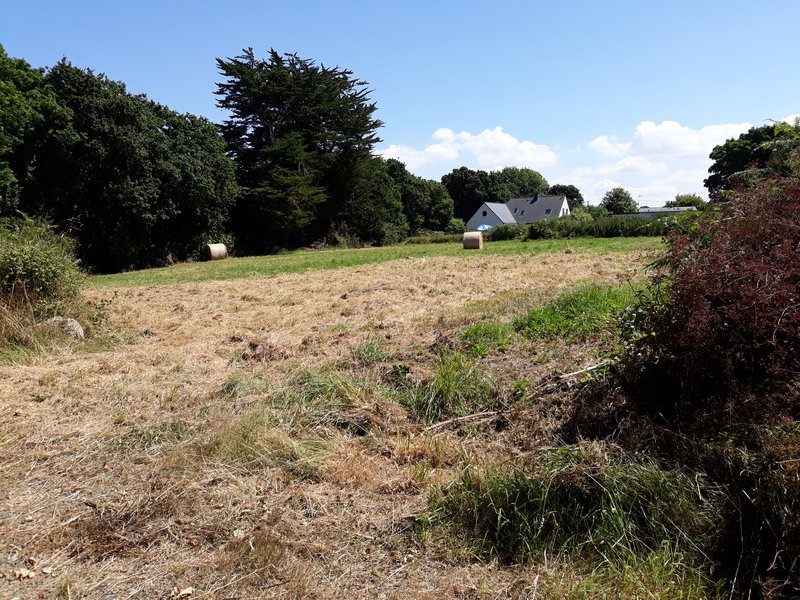 Terrain à Trébeurden 22560 1832m2 98000 € Terrain à Trébeurden 22560 1832m2 98000 € - MLAG-19-02-15-8