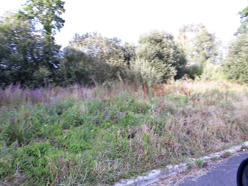Terrain à Trébeurden 22560 498m2 40000 € Terrain à Trébeurden 22560 498m2 40000 € - MLAG-19-02-15-9