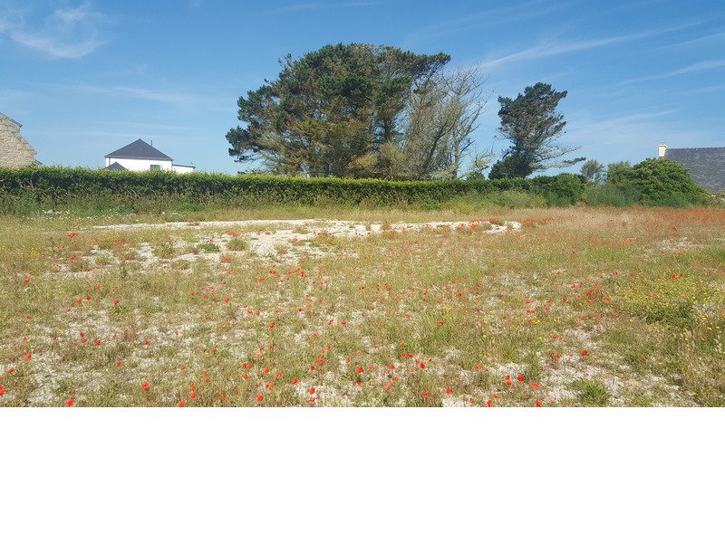 Terrain à Plouescat 535m2 53500 € Terrain à Plouescat 535m2 53500 € - DPOU-19-08-28-11