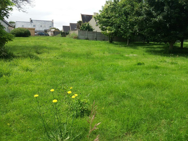 Terrain à Saint Pol de Léon 575m2 44000 € Terrain à Saint Pol de Léon 575m2 44000 € - DPOU-19-08-28-19