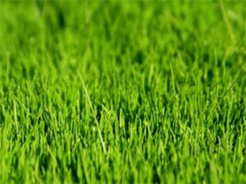 Terrain à Herbignac 44410 260m2 33800 € Terrain à Herbignac 44410 260m2 33800 € - AFRO-18-12-14-59