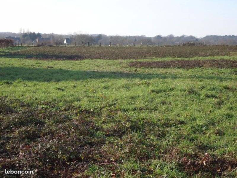 Terrain à Herbignac 44410 547m2 44800 € Terrain à Herbignac 44410 547m2 44800 € - AFRO-18-12-14-67