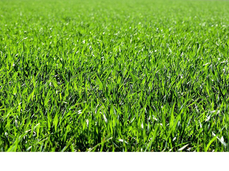 Terrain à Cestas 33610 600m2 263000 € Terrain à Cestas 33610 600m2 263000 € - MDRA-19-09-20-6