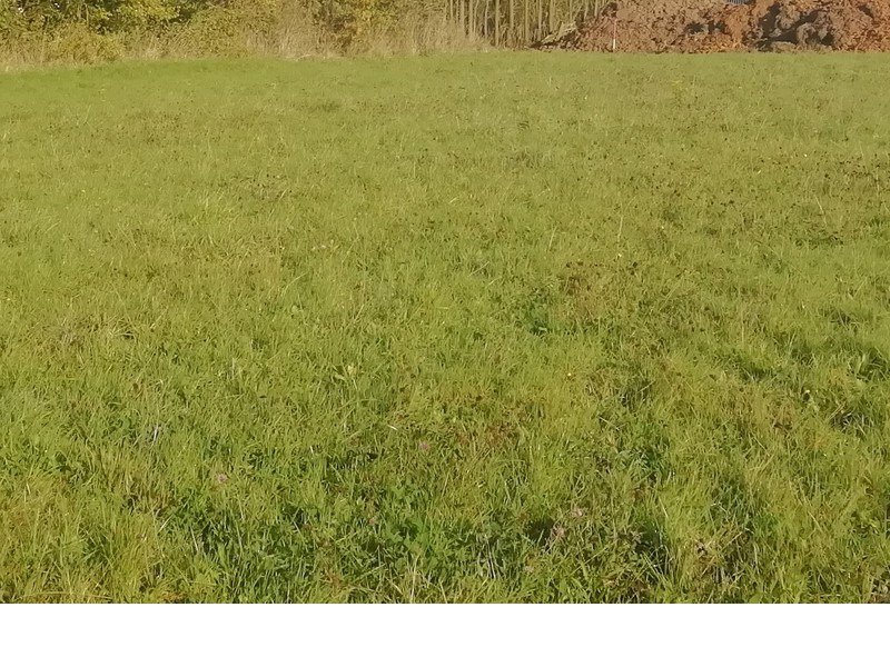 Terrain à Saintes 17100 428m2 59780 € Terrain à Saintes 17100 428m2 59780 € - KGUE-20-03-03-1