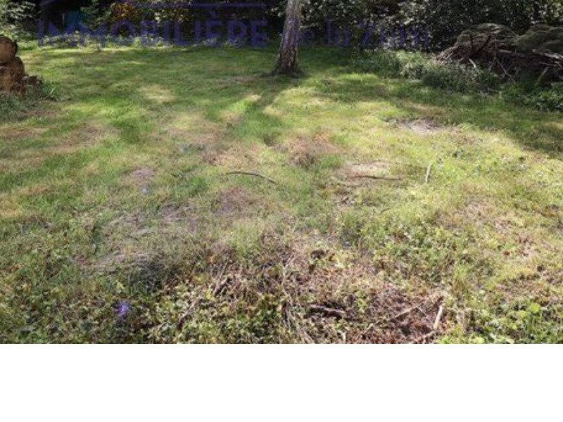 Terrain à Cissac-Médoc 33250 700m2 58000 € Terrain à Cissac-Médoc 33250 700m2 58000 € - CDUS-20-03-24-2