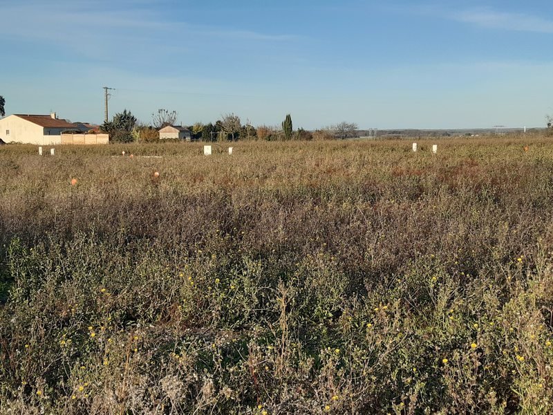 Terrain à Semussac 17120 433m2 63000 € Terrain à Semussac 17120 433m2 63000 € - FMAS-20-11-20-2