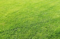 Terrain à Frehel  383m2 51000 € - YLM-25-04-25-10