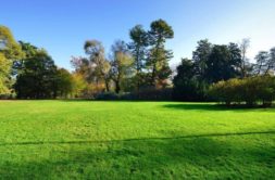Terrain à Saint-Uniac 35360 783m2 75544 € - MCHO-23-03-27-4