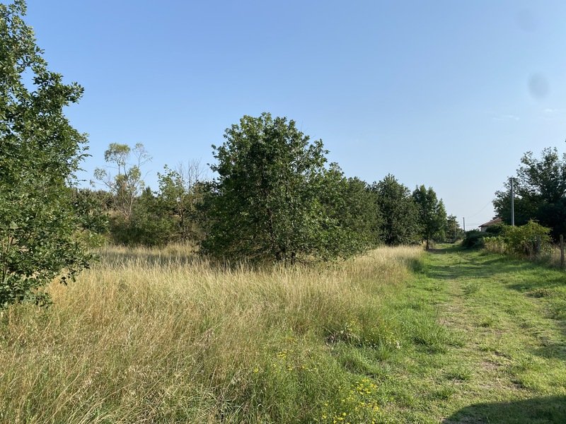 Terrain à Gimont 32200 1000m2 103000 € Terrain à Gimont 32200 1000m2 103000 € - CLE-22-04-28-3