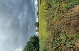 Terrain à Landivisiau 29400 470m2 42000 € - QLAP-23-02-27-2