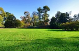 Terrain à Erbree 35500 279m2 31000 € - MCHO-23-08-11-79