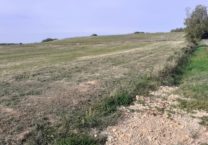 Terrain à Sauziere-Saint-Jean 81630 2061m2 54500 € - PBRU-26-03-02-23