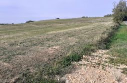 Terrain à Sauziere-Saint-Jean 81630 2061m2 54500 € - PBRU-26-03-30-9