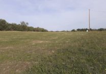 Terrain à Sauziere-Saint-Jean 81630 2061m2 54500 € - PBRU-26-03-02-23