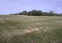 Terrain à Sauziere-Saint-Jean 81630 2061m2 54500 € - PBRU-26-03-02-23