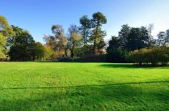Terrain à Romille 35850 317m2 57000 € - MCHO-25-04-14-113