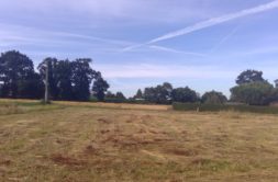 Terrain à Jugon-les-Lacs – Commune nouvelle 22270 817m2 55000 € - KRIB-23-03-24-9