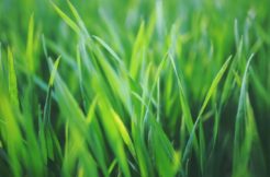 Terrain à Torce 35370 456m2 61500 € - ABRE-25-10-15-55