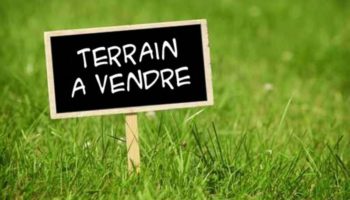 Terrain à Cardroc 35190 435m2 51999 € - MCHO-25-07-29-168