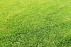 Terrain à Binic-Etables-sur-Mer 22680 647m2 140000 € - YLM-25-11-15-9