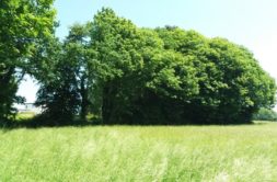 Terrain à Ploufragan 22440 451m2 49500 € - YLM-25-02-22-9