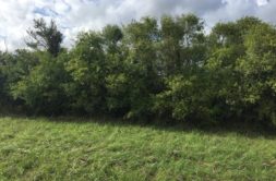 Terrain à Quimper 29000 390m2 75000 € - SCHA-23-08-23-47