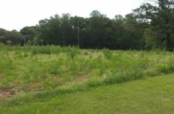 Terrain à Trebeurden 22560 347m2 39000 € - MLAG-23-08-30-2