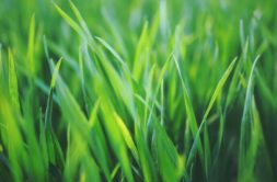 Terrain à Saint-Senoux 35580 742m2 85330 € - ABRE-25-11-12-7