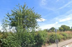 Terrain à Dinan 22100 342m2 57000 € - BONE-25-03-24-10
