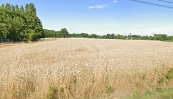 Terrain à Evran 22630 631m2 45000 € - BONE-25-08-28-3