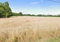 Terrain à Evran 22630 784m2 69000 € - BONE-25-08-14-3