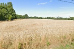 Terrain à Evran 22630 784m2 69000 € - BONE-25-08-14-3