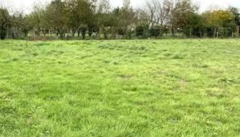Terrain à Jugon-les-Lacs—Commune-nouvelle 22270 1129m2 73000 € - BONE-25-03-14-2