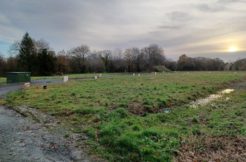 Terrain à Beaussais-sur-Mer 22650 314m2 51076 € - BONE-25-04-23-13