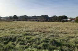 Terrain à Medis 17600 436m2 85000 € - OBE-25-03-03-42