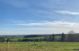 Terrain à Bourg-des-Comptes 35890 413m2 53000 € - ABRE-25-06-26-11