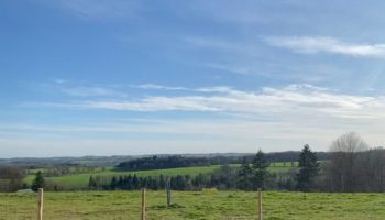 Terrain à Bourg-des-Comptes 35890 413m2 53000 € - ABRE-25-08-08-66