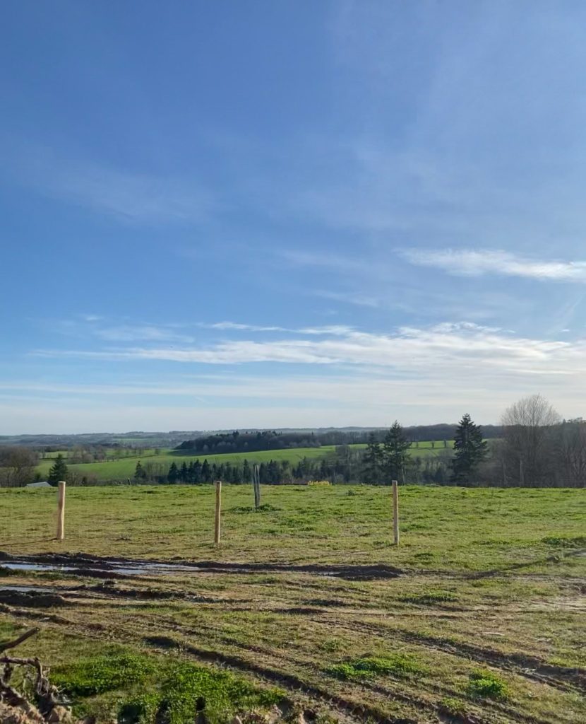 Terrain à Bourg-des-Comptes 35890 413m2 53000 € - ABRE-25-08-08-66