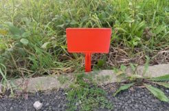 Terrain à Pont-Saint-Martin 44860 400m2 149900 € - JLD-25-11-24-50